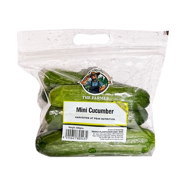 Mini Japanese Cucumber Malaysia 500g