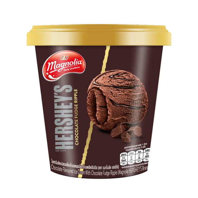 Magnolia Hershey's Chocolate Fudge Ripple 450ml