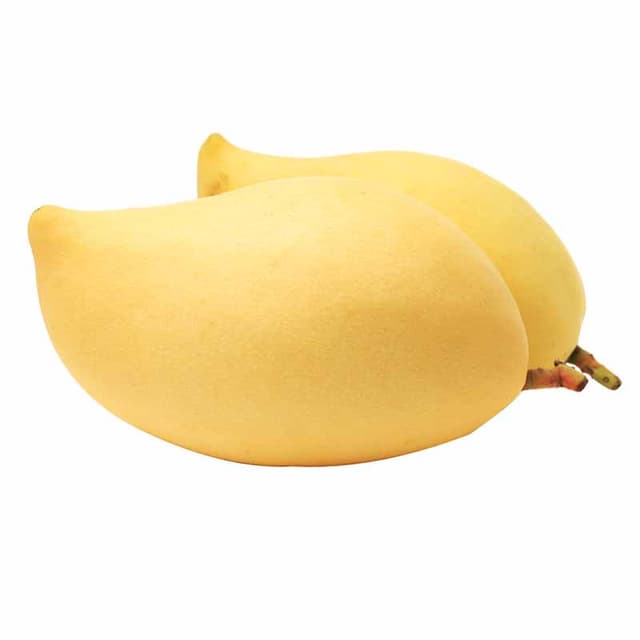 Honey Mango Thailand Large